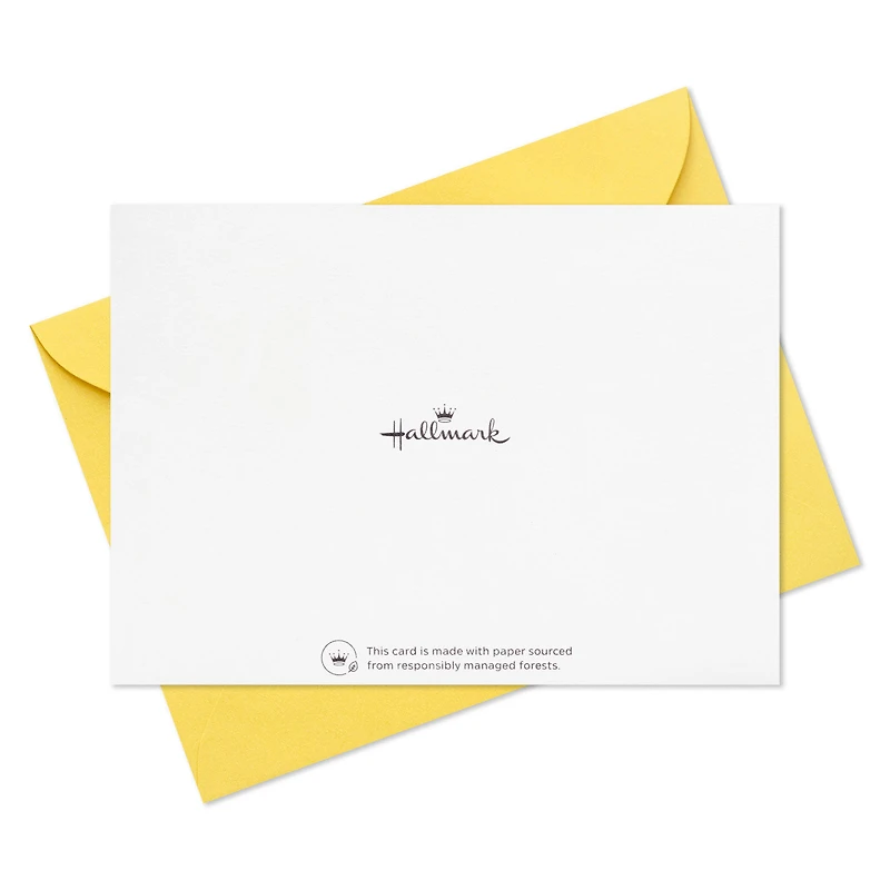 Sweet Dots Boxed Thank-You Notes, Pack of 10 for only USD 6.99 | Hallmark