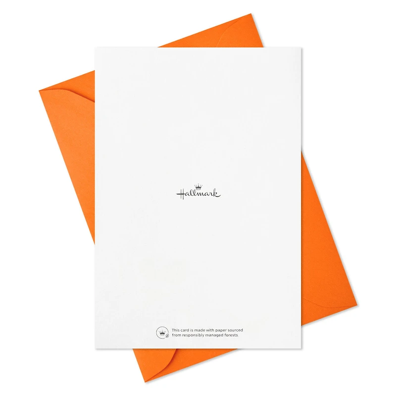 You Are the Best Blank Note Cards, Pack of 5 for only USD 5.00 | Hallmark