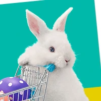 Filled With Happiness Funny Easter Card for only USD 2.00 | Hallmark