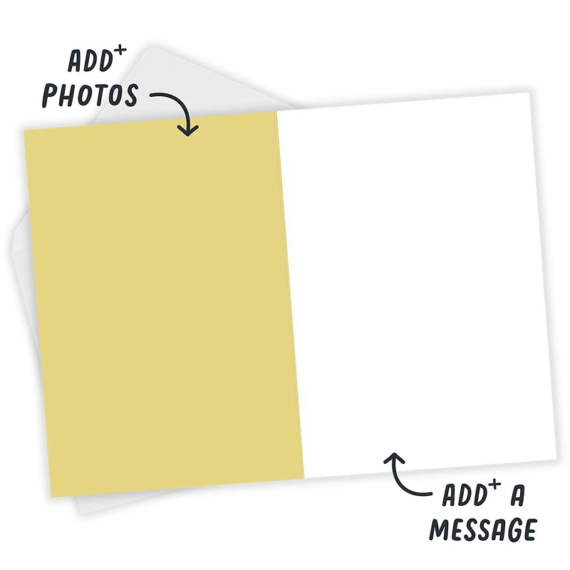 Bold Daisies Blank Custom Card for only USD 4.99 | Hallmark