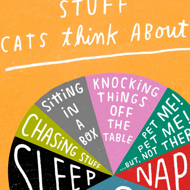 Stuff Cats Think About Pie Chart Funny Blank Card for only USD 3.99 | Hallmark