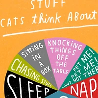 Stuff Cats Think About Pie Chart Funny Blank Card for only USD 3.99 | Hallmark