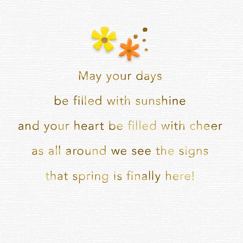 Spring Is Finally Here Easter Card for only USD 3.99 | Hallmark