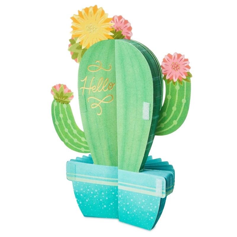 All Sun, All Fun Flowering Cactus Honeycomb 3D Pop-Up Card for only USD 6.99 | Hallmark