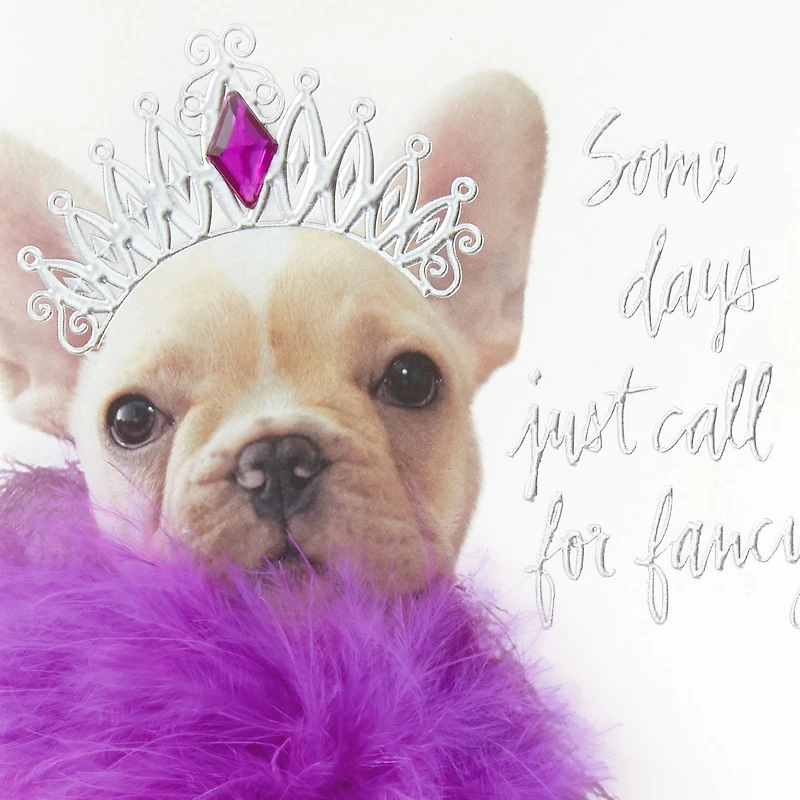Some Days Call for Fancy Birthday Card for only USD 5.99 | Hallmark