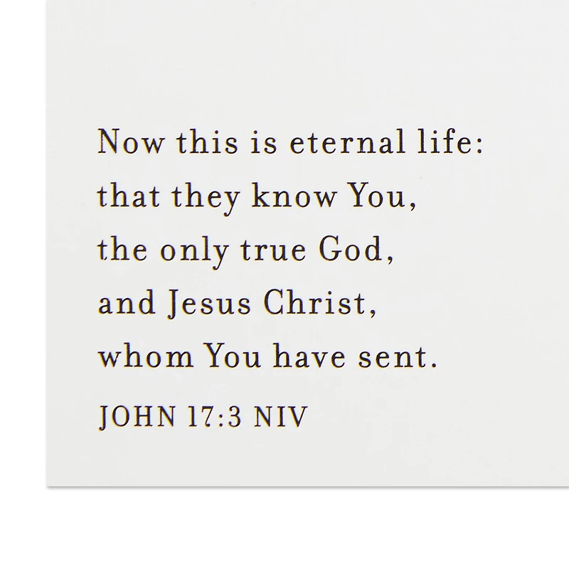 Baby Jesus in the Manger Religious Boxed Christmas Cards, Pack of 16 for only USD 20.49 | Hallmark