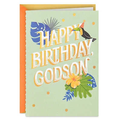 Godson, You Own a Unique Place in My Life Birthday Card for only USD 5.99 | Hallmark
