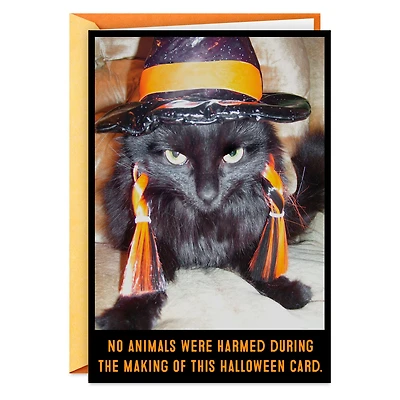 Angry Black Cat in Witch's Hat Funny Halloween Card for only USD 3.69 | Hallmark