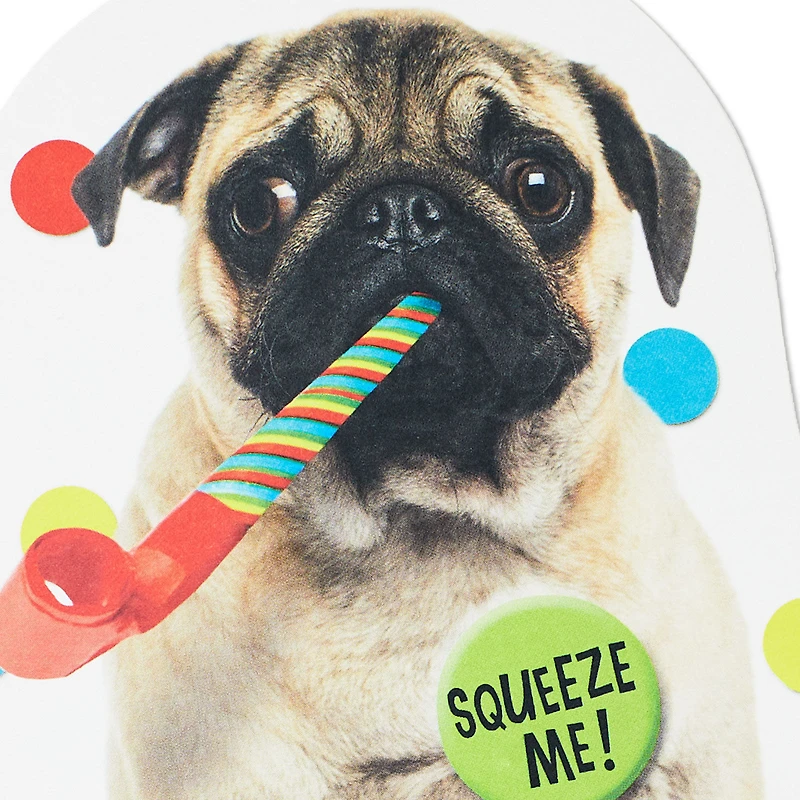 Impossible to Ignore Funny Musical Birthday Card With Sound for only USD 5.99 | Hallmark