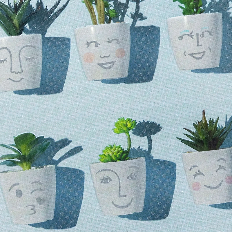 Smiling Succulent Plants Blank Card for only USD 4.59 | Hallmark