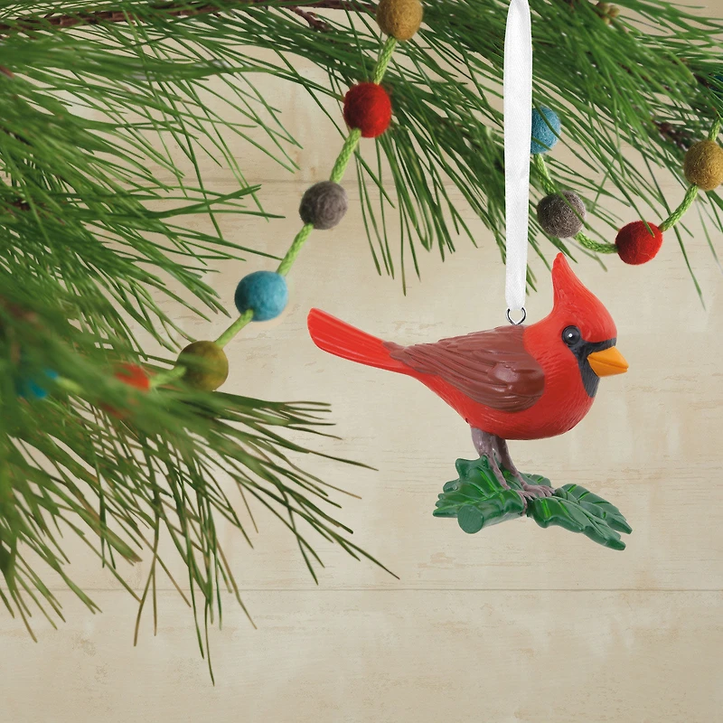 Cardinal Bird Hallmark Ornament for only USD 14.99 | Hallmark