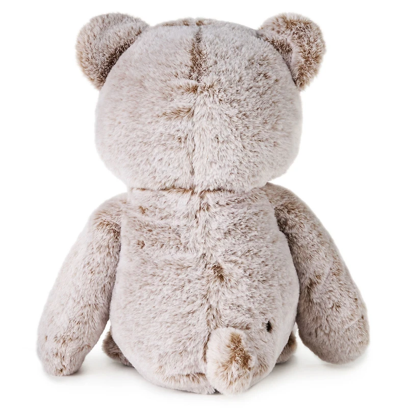 Brown Bear Plush, 14" for only USD 49.99 | Hallmark