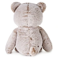 Brown Bear Plush, 14" for only USD 49.99 | Hallmark