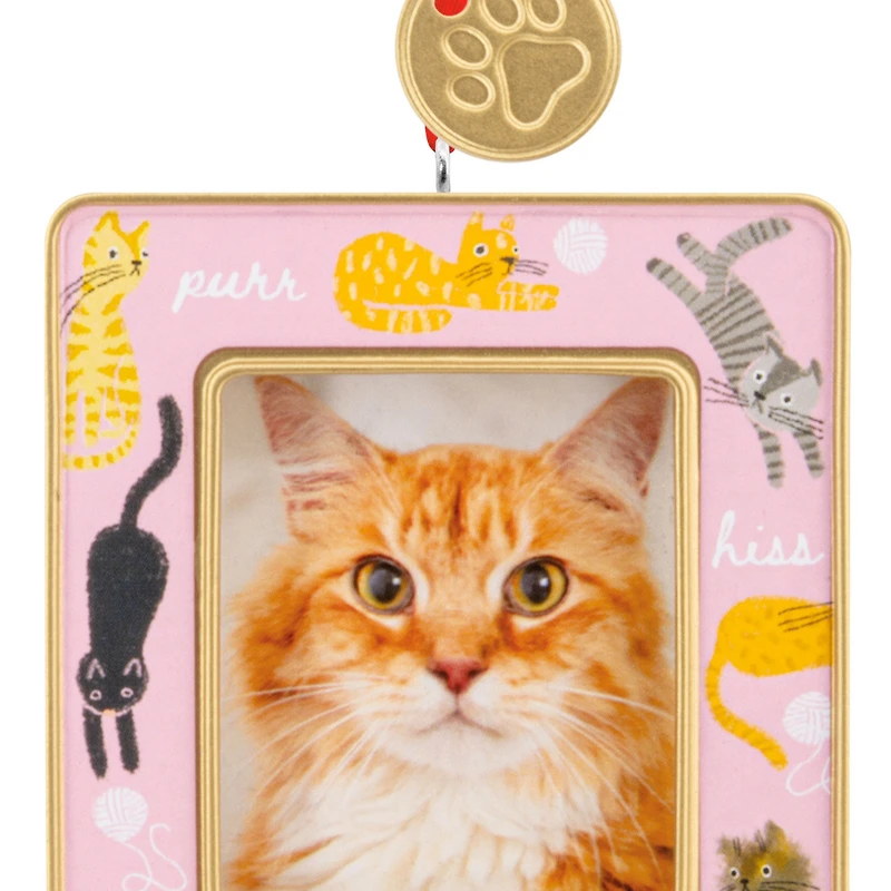 Playful Kitties 2026 Photo Frame Hallmark Ornament for only USD 12.99 | Hallmark