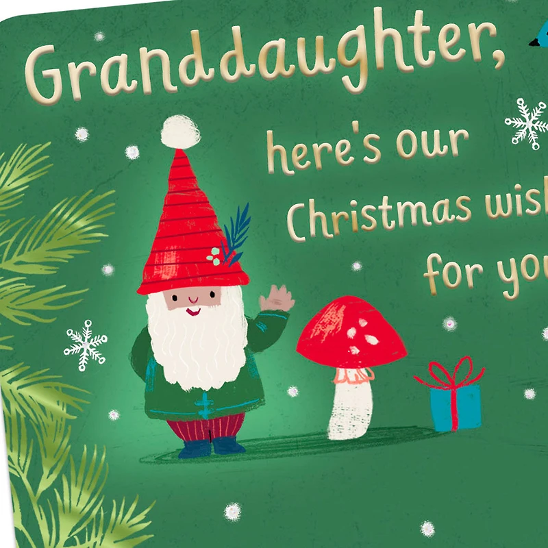 Follow Your Heart and Know You're Loved Christmas Card for Granddaughter for only USD 3.99 | Hallmark