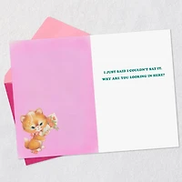 I Appreciate You More Than I Can Say Funny Card for only USD 3.99 | Hallmark