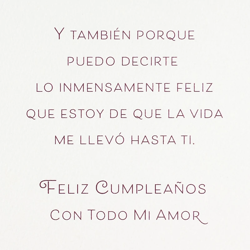 So Happy to Celebrate You Spanish-Language Birthday Card for Wife for only USD 5.59 | Hallmark