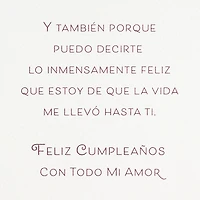So Happy to Celebrate You Spanish-Language Birthday Card for Wife for only USD 5.59 | Hallmark