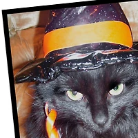 Angry Black Cat in Witch's Hat Funny Halloween Card for only USD 3.69 | Hallmark