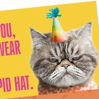 Kevin the Cat Won't Sing Funny Birthday Card for only USD 3.99 | Hallmark