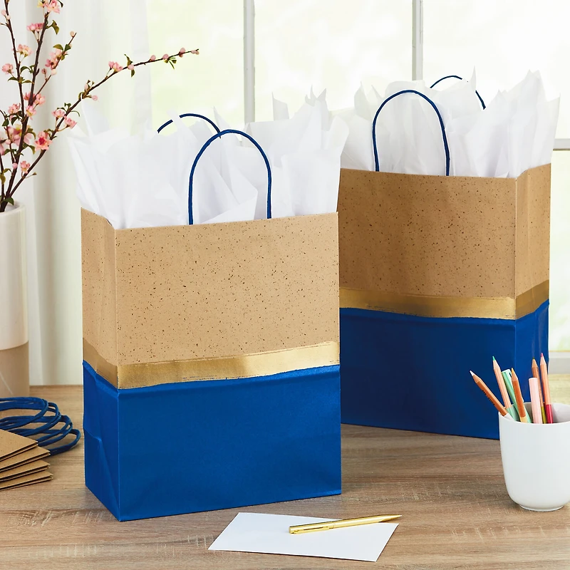 13" Blue and Kraft Paper 6-Pack Gift Bag for only USD 17.99 | Hallmark