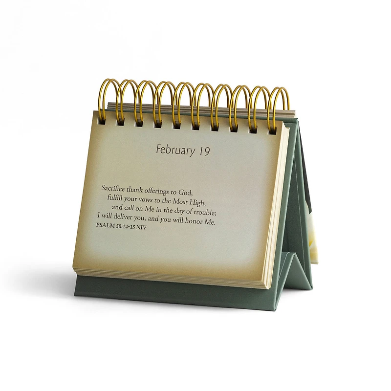 Psalms Beside Still Waters DaySpring DayBrightener Perpetual Calendar for only USD 10.99 | Hallmark