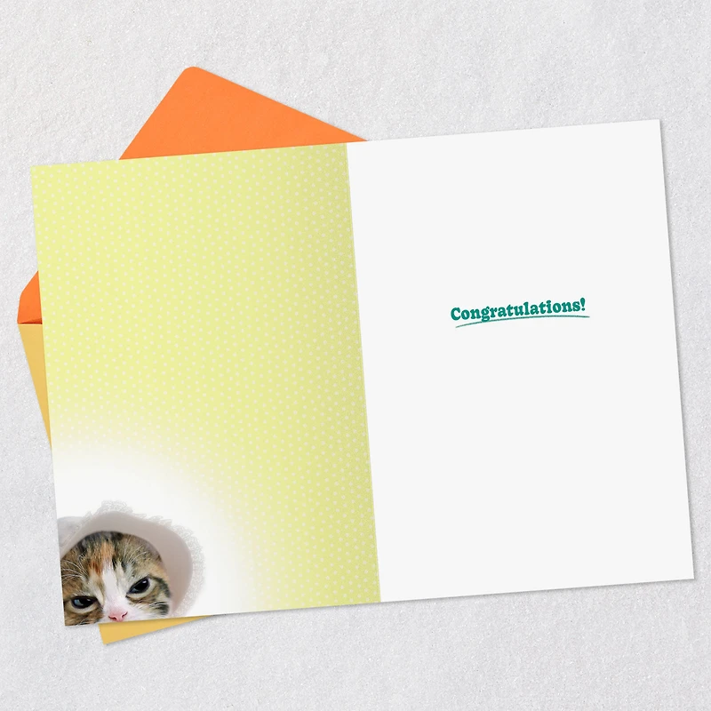 Cute Kitten in a Baby Bonnet Funny New Baby Card for only USD 4.49 | Hallmark