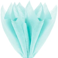 Solid Aquamarine Tissue Paper, 8 sheets for only USD 1.99 | Hallmark