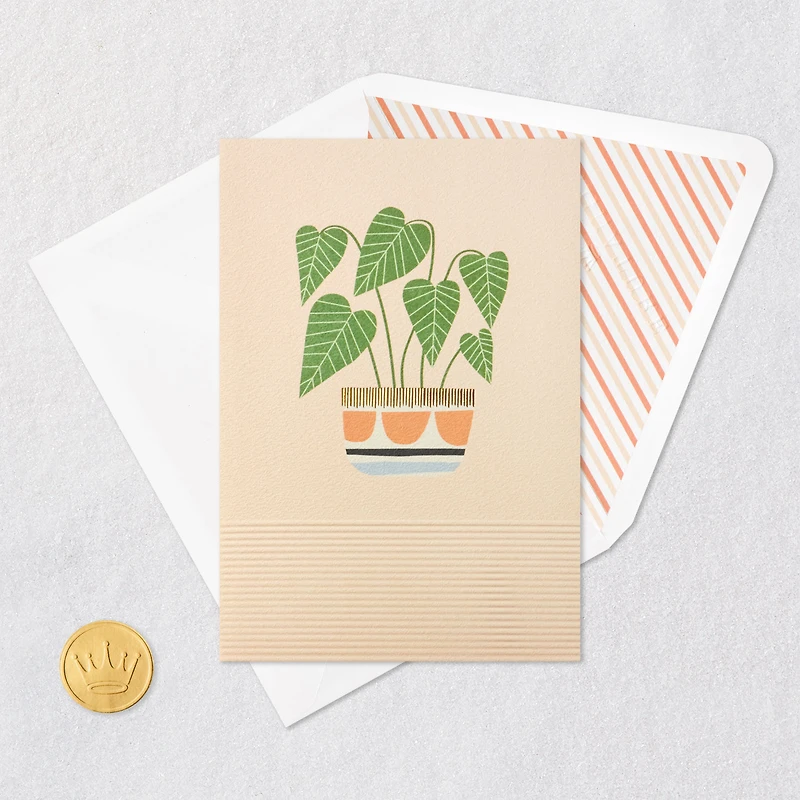 Potted Plant Blank Card for only USD 5.99 | Hallmark