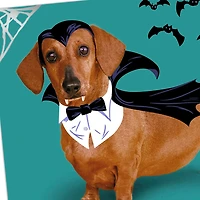 Happy Hallowiener Vampire Dog Funny Halloween Card for only USD 2.99 | Hallmark