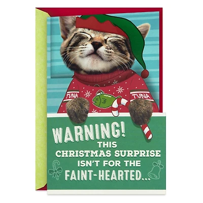 Ticklish Kitten Funny Christmas Card With Sound and Motion for only USD 9.99 | Hallmark