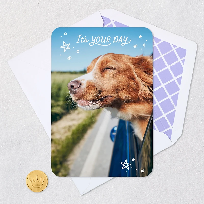It's Your Day Card for only USD 2.99 | Hallmark