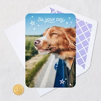 It's Your Day Card for only USD 2.99 | Hallmark