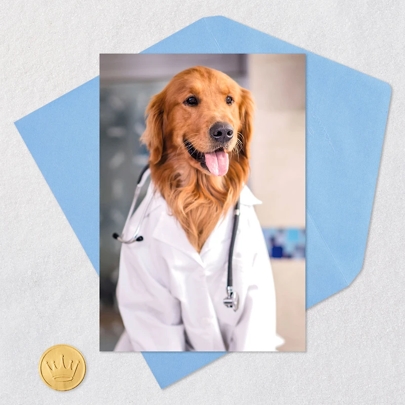 Dog Doctor Funny Get Well Card for only USD 3.99 | Hallmark