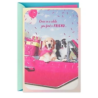 Fancy Pups Forever Friends Birthday Card for only USD 5.99 | Hallmark