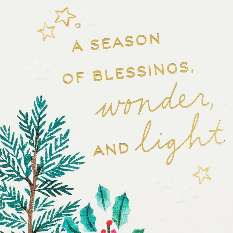 Season of Blessings and Wonder Christmas Card for only USD 4.59 | Hallmark