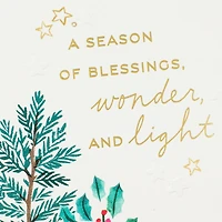Season of Blessings and Wonder Christmas Card for only USD 4.59 | Hallmark