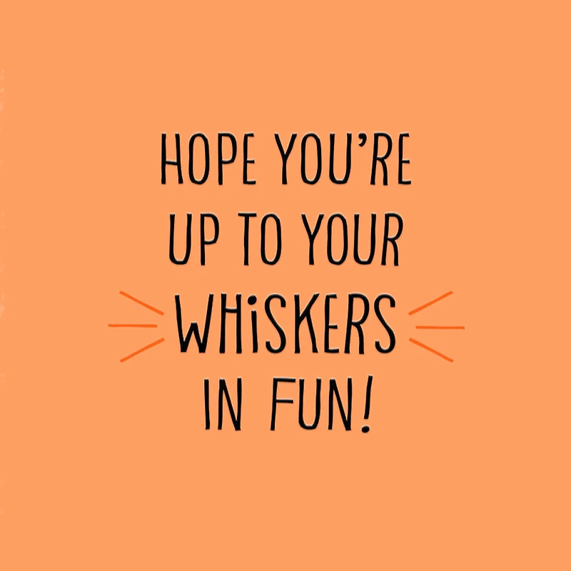 Up to Your Whiskers in Fun Halloween Card for only USD 2.99 | Hallmark