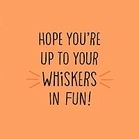 Up to Your Whiskers in Fun Halloween Card for only USD 2.99 | Hallmark