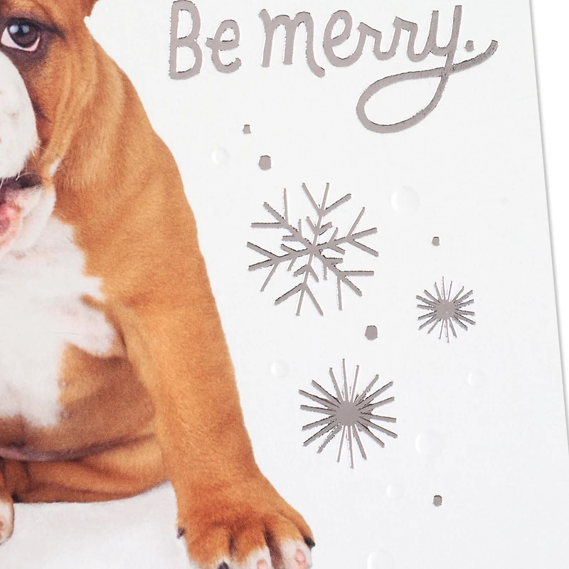 Happy From Head to Tail, Dog Christmas Card for only USD 6.99 | Hallmark