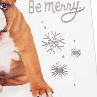 Happy From Head to Tail, Dog Christmas Card for only USD 6.99 | Hallmark