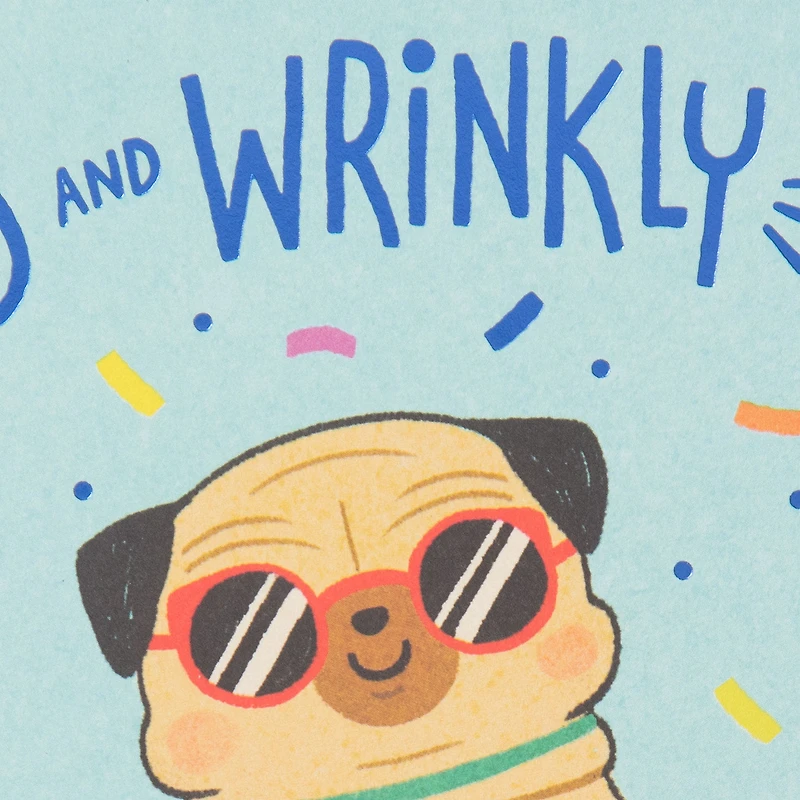 Old and Wrinkly Pug Funny Birthday Card for only USD 4.49 | Hallmark