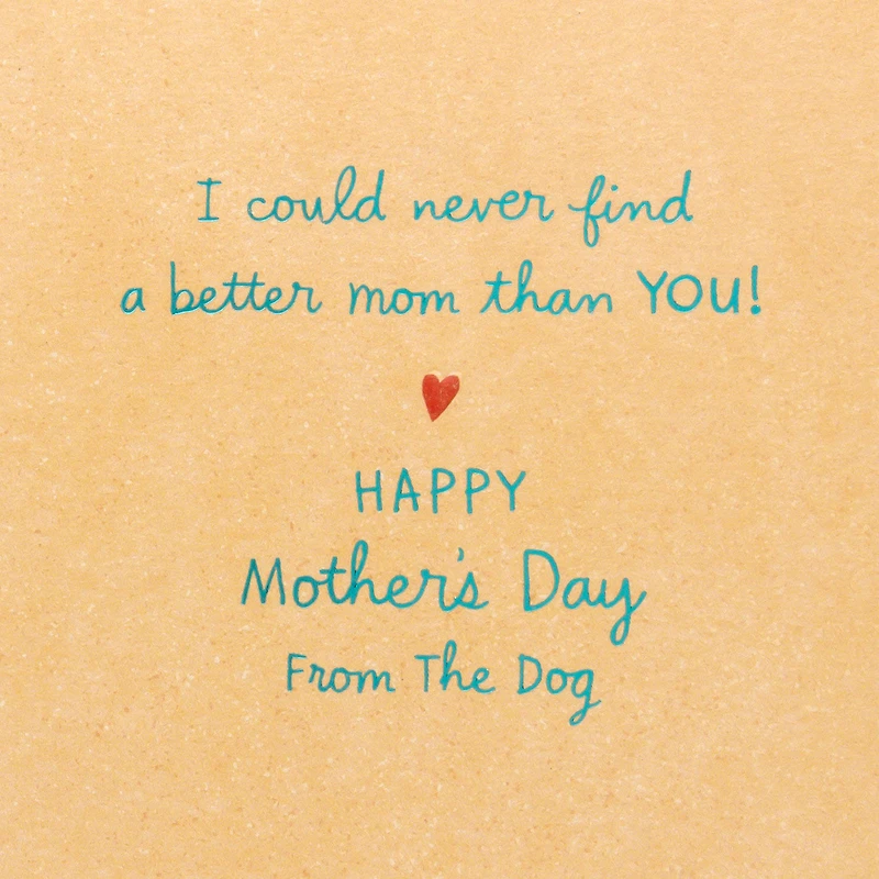 If I Sniffed the Whole World Mother's Day Card from Dog for only USD 4.99 | Hallmark