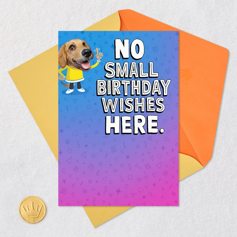 Silly Dog Funny Pop-Up Birthday Card for only USD 4.99 | Hallmark