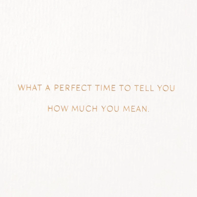 How Much You Mean Birthday Card for only USD 9.59 | Hallmark