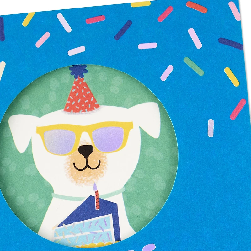 You're Doggone Great Birthday Card for Kids for only USD 4.99 | Hallmark
