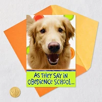 Golden Retriever Heal Get Well Card for only USD 3.99 | Hallmark