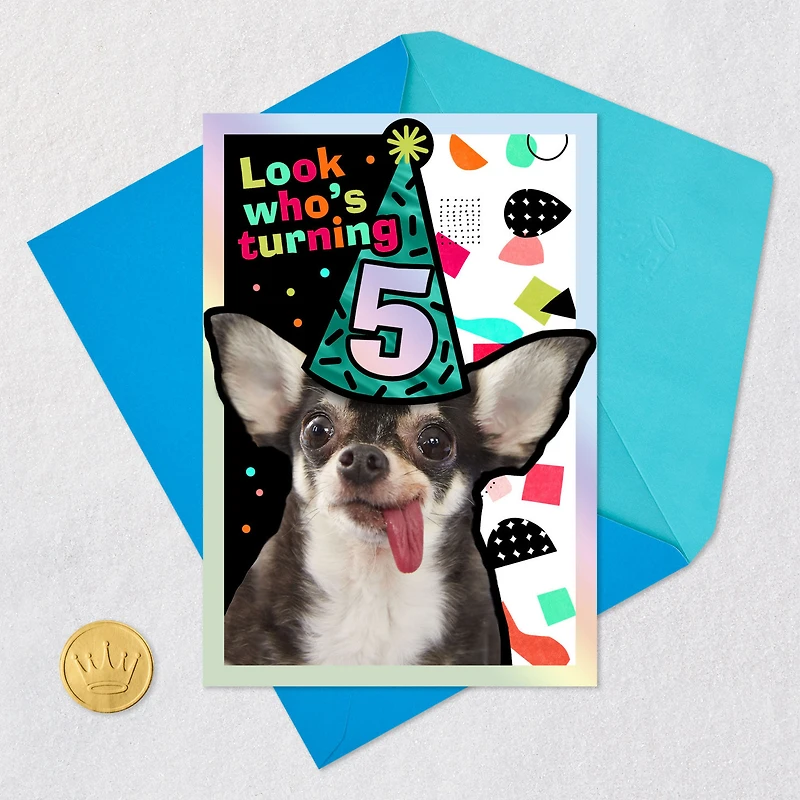 Five Years Loved 5th Birthday Card for only USD 2.99 | Hallmark
