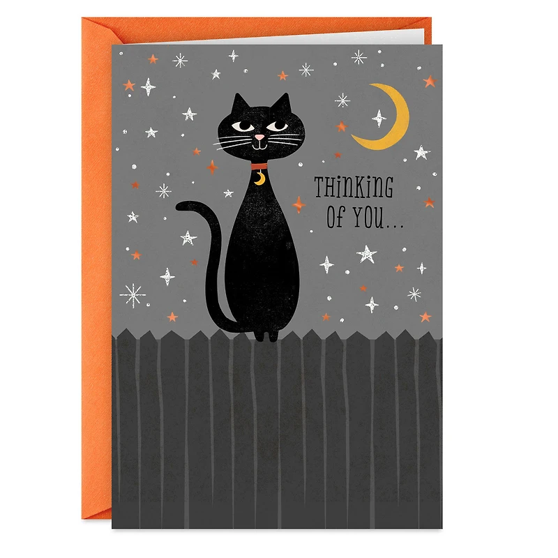 Thinking of You Black Cat Halloween Card for only USD 0.99 | Hallmark