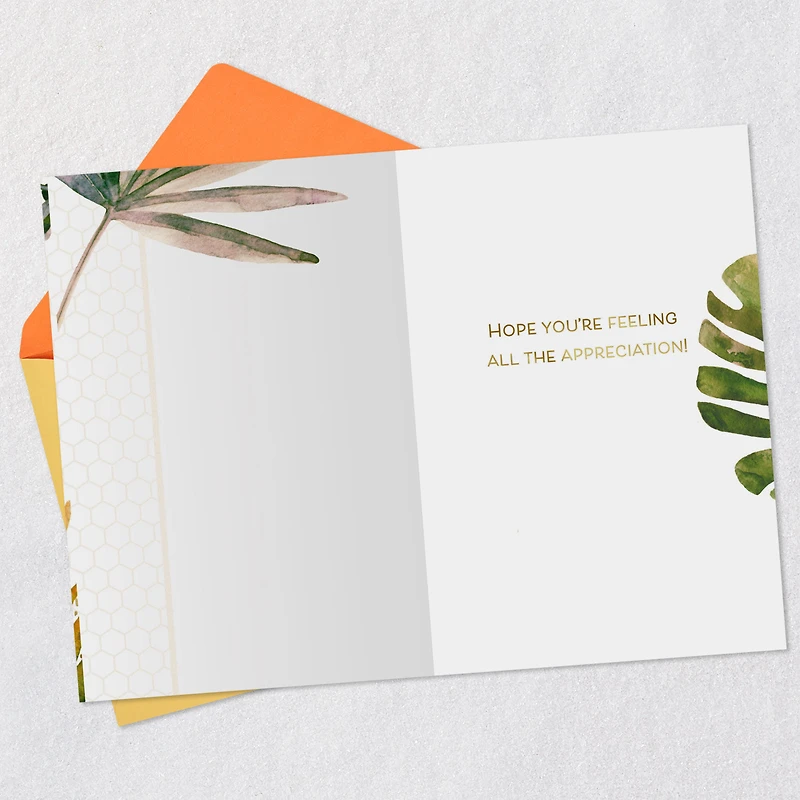 Hope You're Feeling the Appreciation Good Job Card for only USD 3.59 | Hallmark